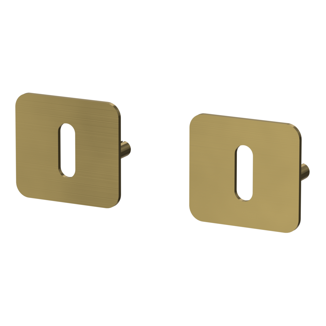 ONE pair of escutcheons rounded cipher bit Flat escutcheon brushed gold